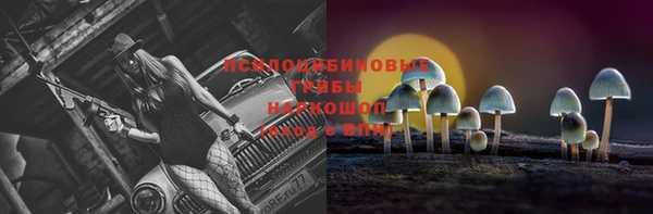 прущие крисы Дмитровск