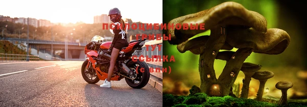 прущие крисы Дмитров