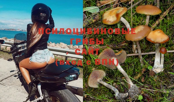 кристаллы Дмитриев