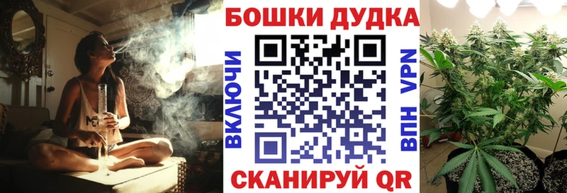 Купить  Калач-на-Дону  Канабис индика 